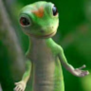 Meet your Posher, Bob